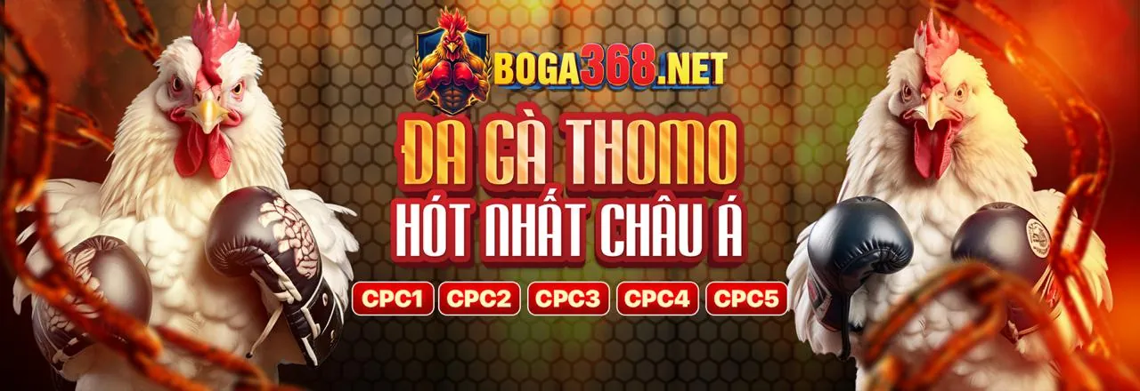 Tổng quan các chương trình khuyến mãi Win55